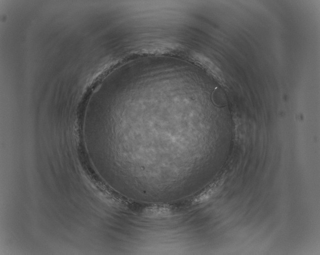 X0000070360354200606231628