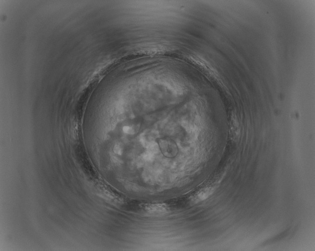 X0000070360355200606231628