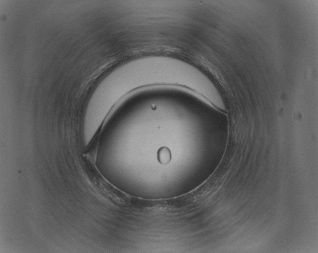 X0000070360356200606231628