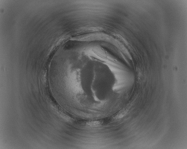 X0000070360357200606231628