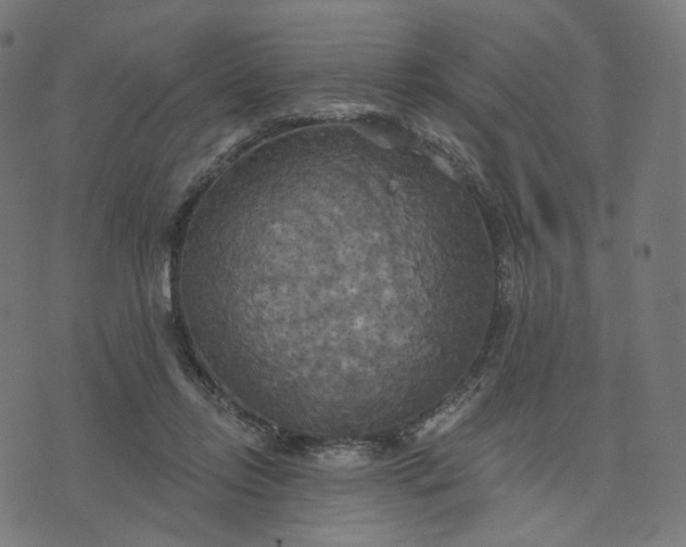 X0000070360358200606231628