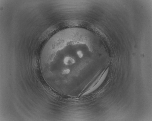 X0000070360359200606231628