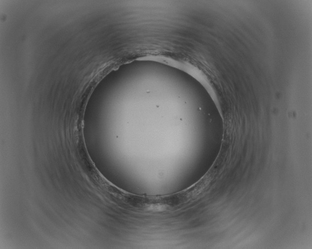 X0000070360360200606231628