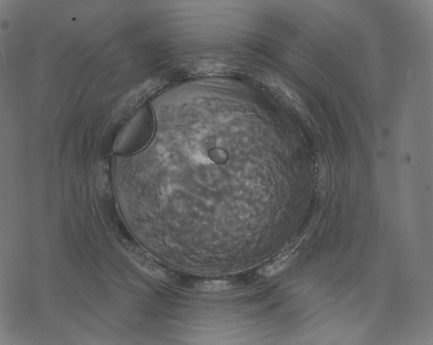 X0000070360361200606231628