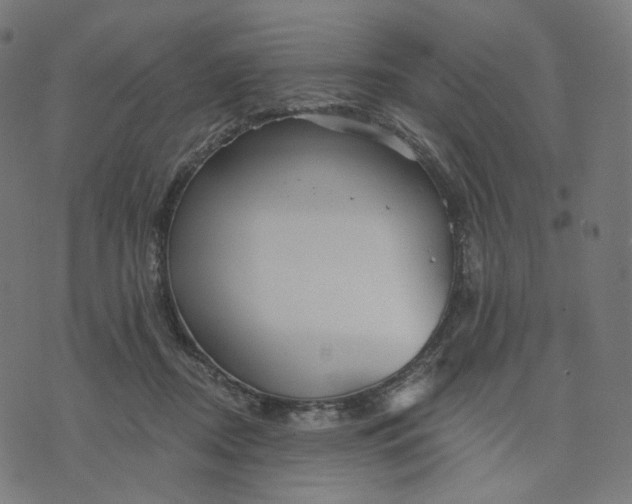 X0000070360362200606231628