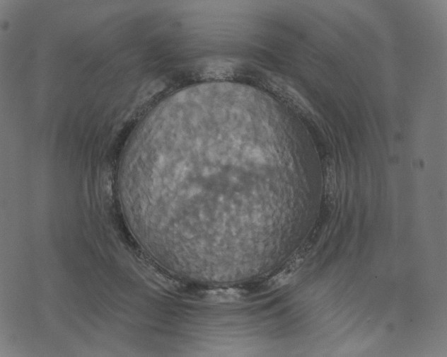 X0000070360363200606231628