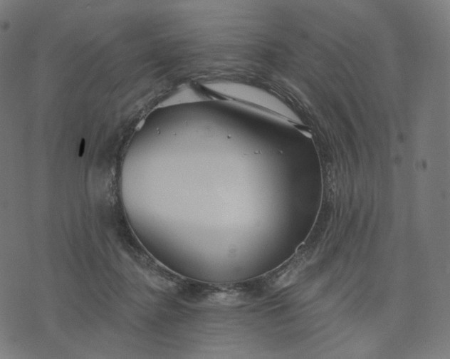 X0000070360364200606231628