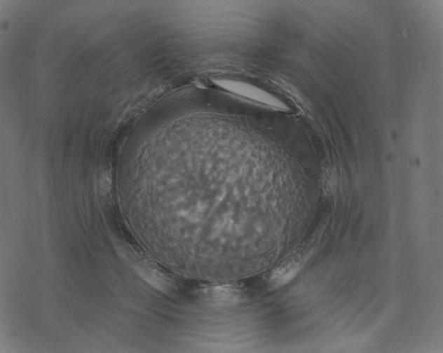 X0000070360365200606231628