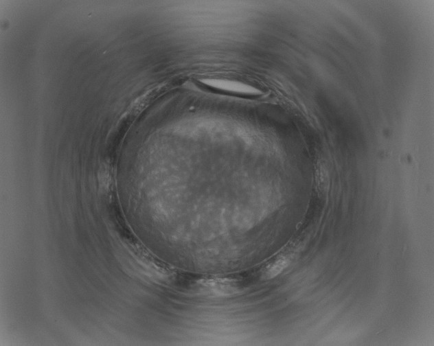 X0000070360367200606231628