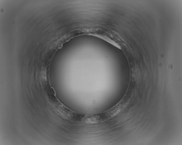 X0000070360368200606231628