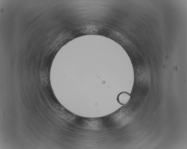 X0000070360370200606231628