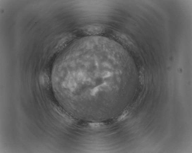 X0000070360371200606231628