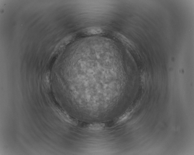 X0000070360373200606231628