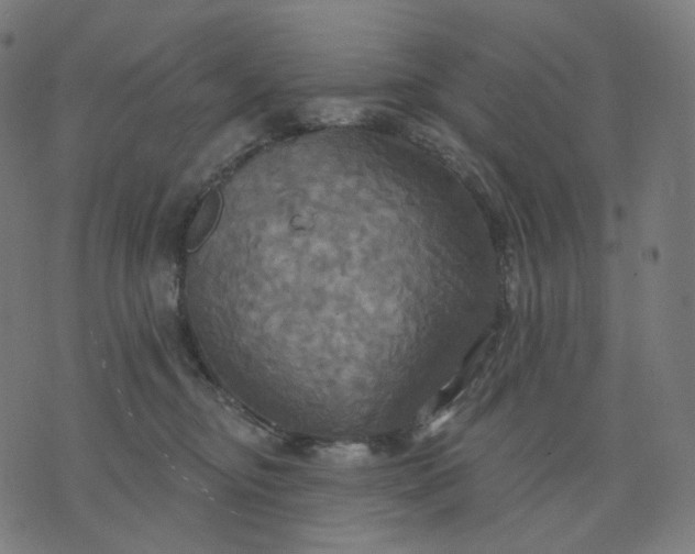 X0000070360374200606231628