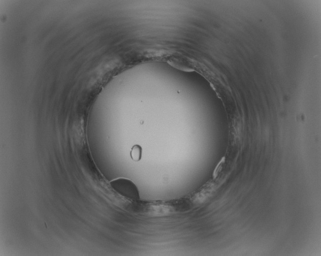 X0000070360376200606231628