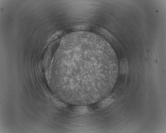 X0000070360377200606231628