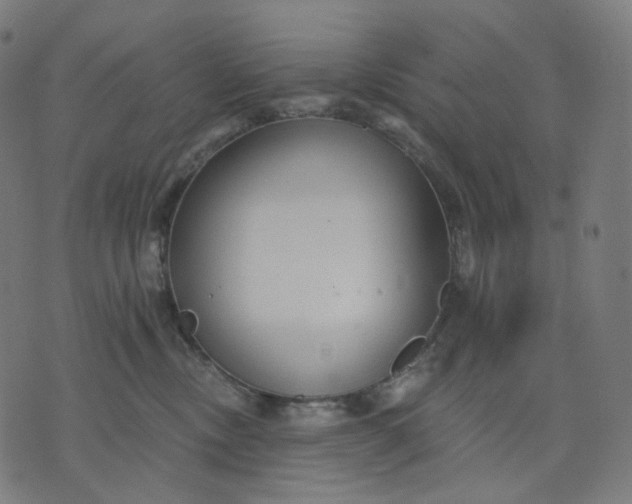 X0000070360378200606231628