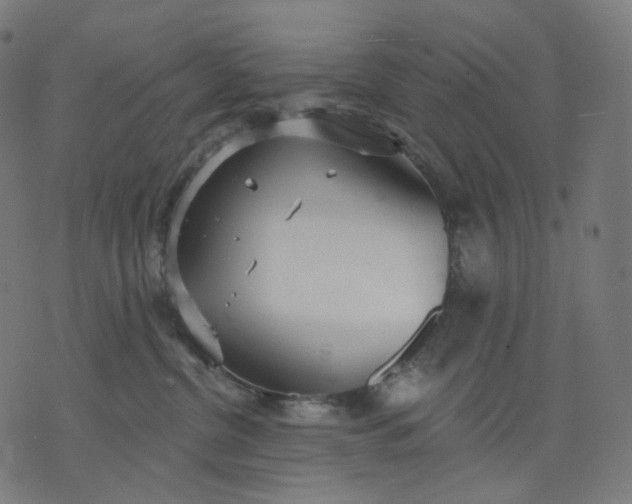 X0000070360380200606231628