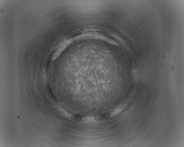 X0000070360381200606231628