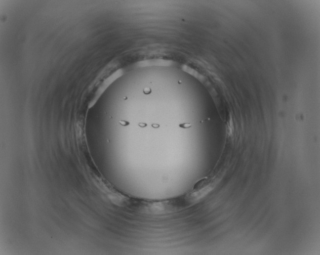 X0000070360382200606231628