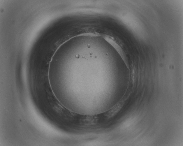 X0000070360383200606231628