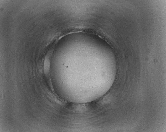 X0000070360384200606231628