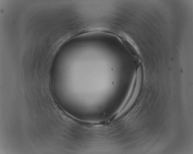 X0000070360385200606231628