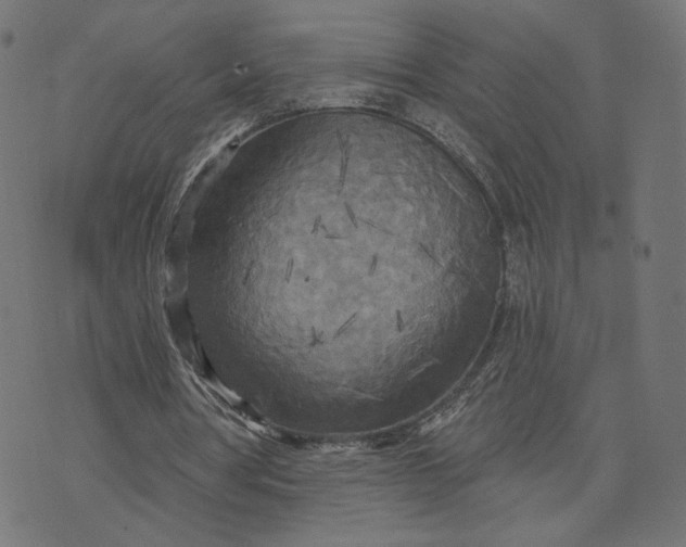 X0000070360386200606231628