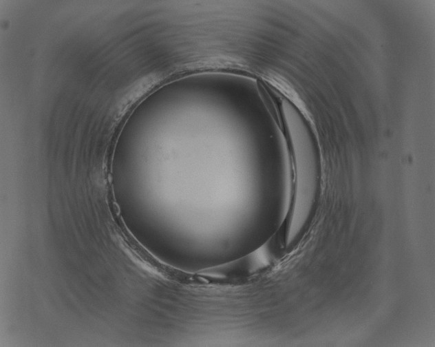 X0000070360389200606231628