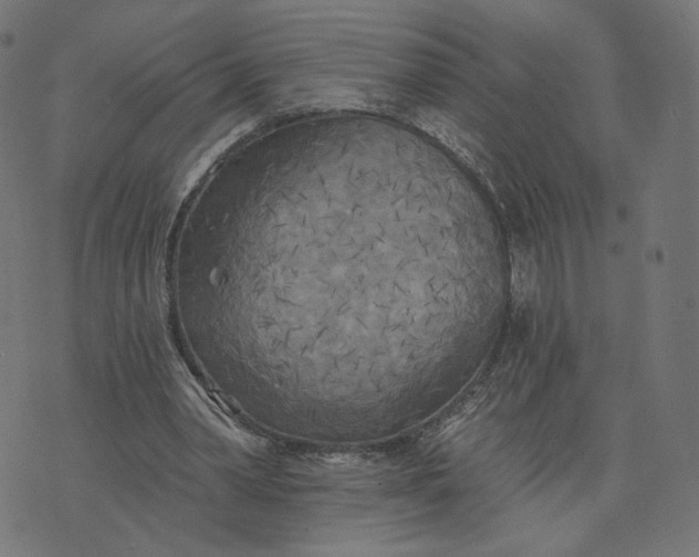 X0000070360390200606231628