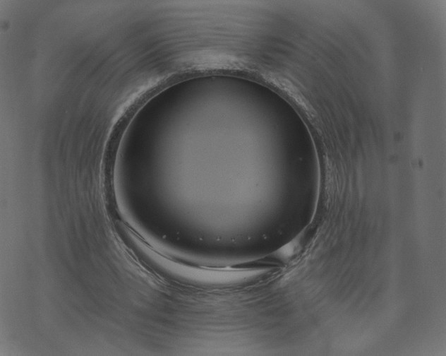 X0000070360391200606231627