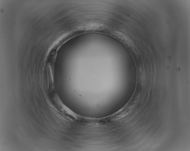 X0000070360392200606231627