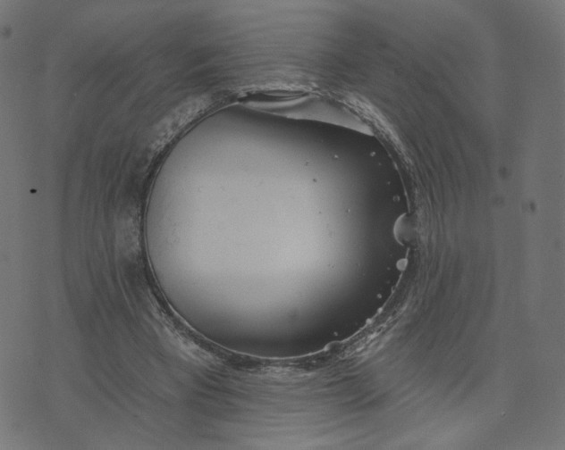 X0000070360393200606231627