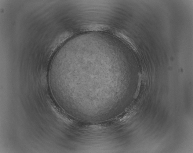 X0000070360394200606231627