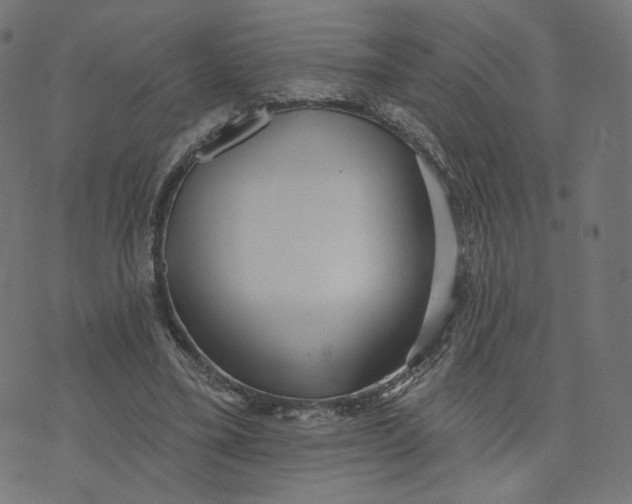 X0000070360395200606231627