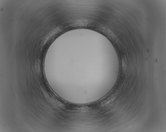 X0000070360396200606231627