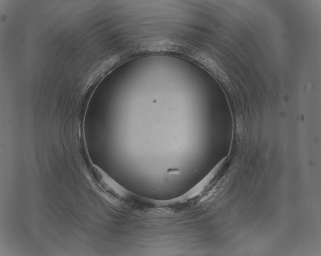 X0000070360397200606231627