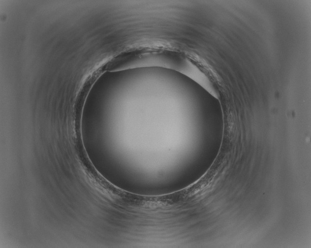 X0000070360399200606231627