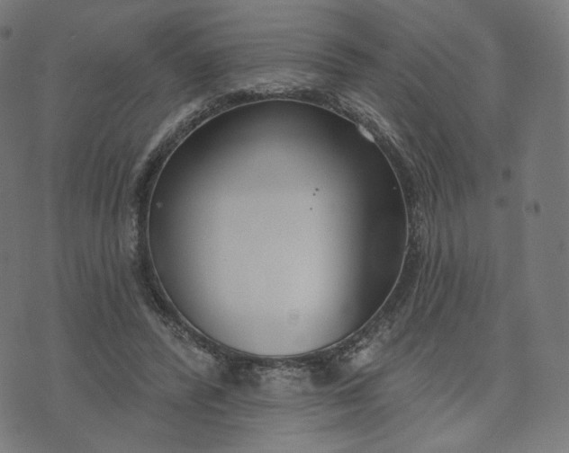 X0000070360400200606231627