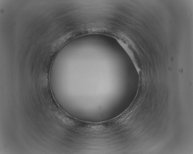 X0000070360401200606231627