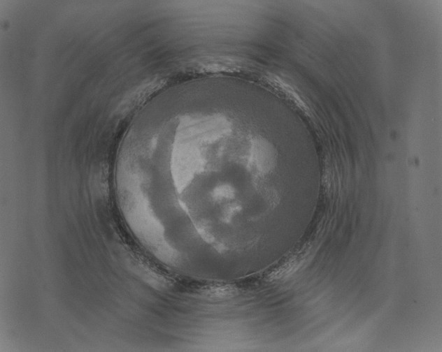 X0000070360402200606231627