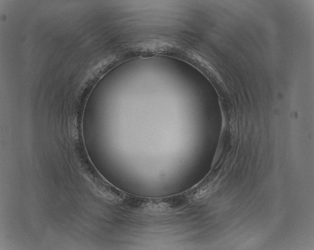 X0000070360403200606231627