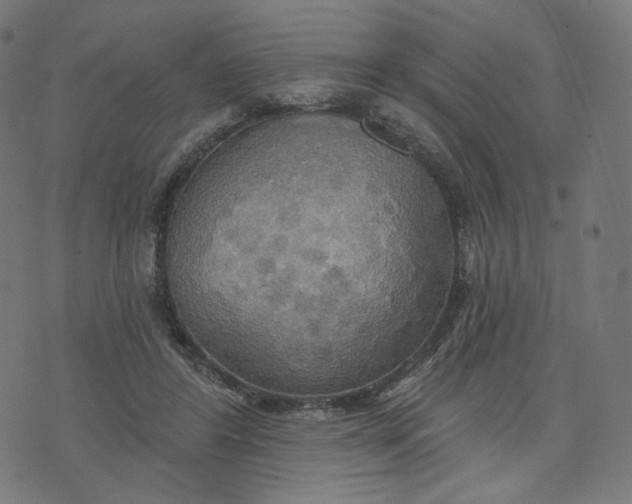 X0000070360404200606231627