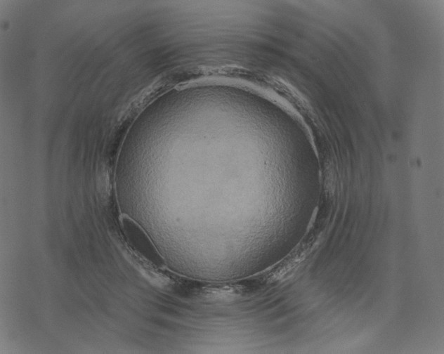 X0000070360405200606231627