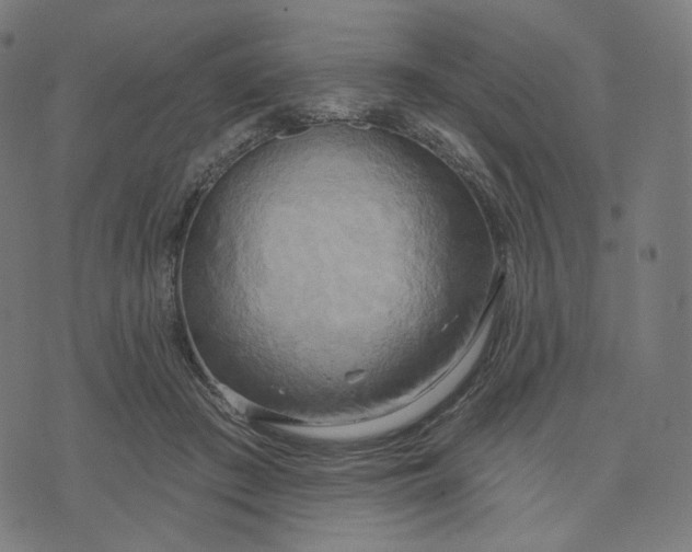 X0000070360409200606231627