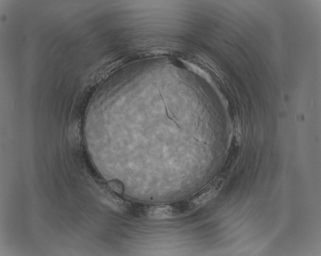 X0000070360410200606231627