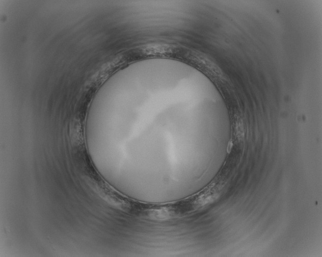 X0000070360411200606231627