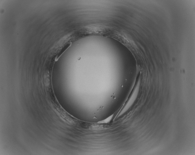 X0000070360413200606231627