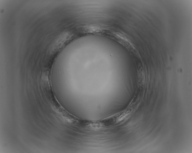 X0000070360415200606231627