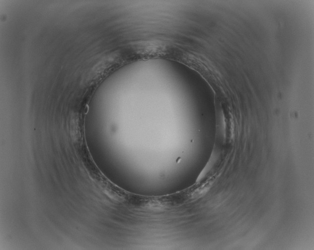 X0000070360416200606231627